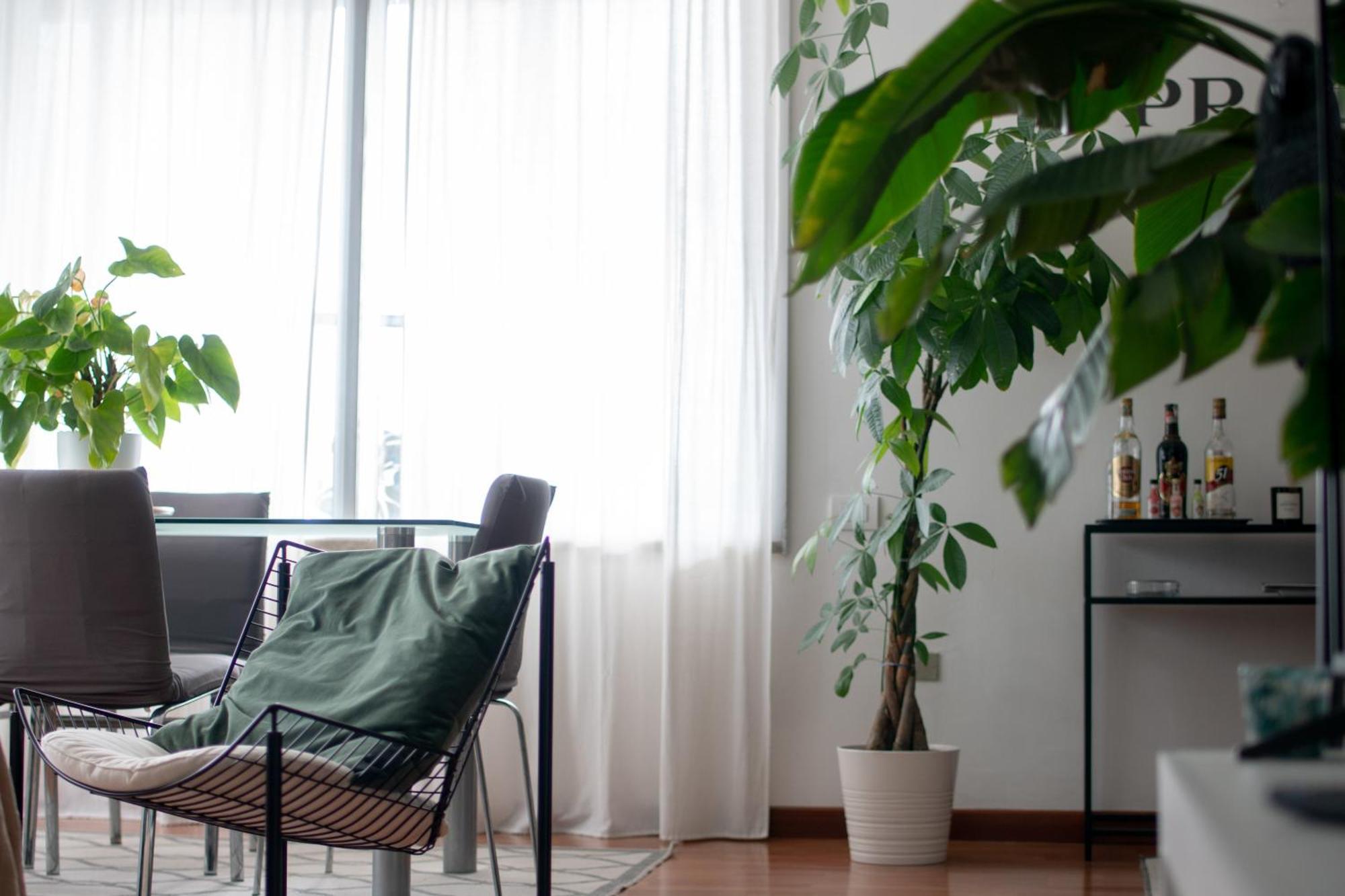 Urban Jungle - Attico Vista Duomo Apartment Milan Exterior photo